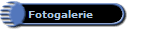 Fotogalerie